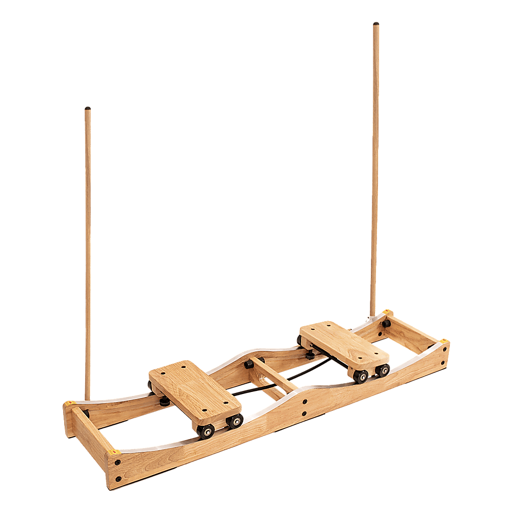 Ski Machine W/ Handrails