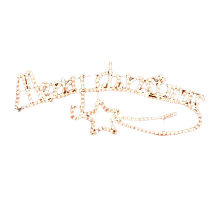 Samland Animated Merry Christmas Motif Rope Light W/ Controller