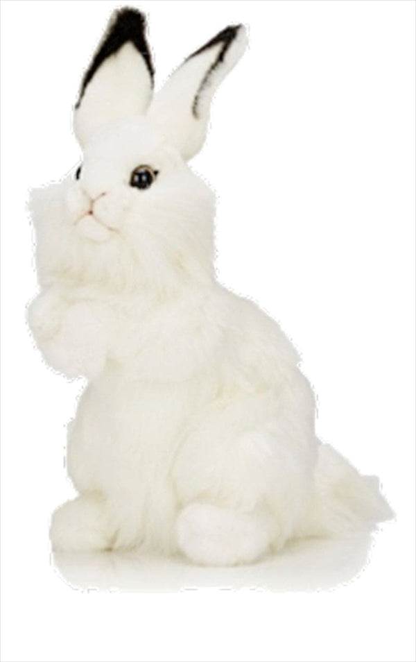 White Rabbit 32cm H