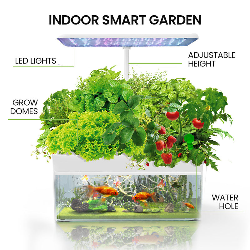 PLANTCRAFT 12 Pod Indoor Hydroponic Growing System with Fish Tank