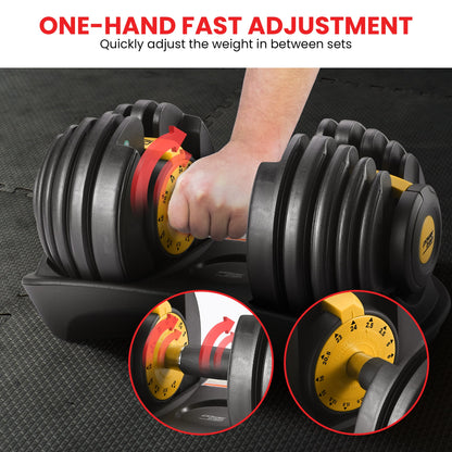 Powertrain 48kg  Adjustable Dumbbell Home Gym Set Gold