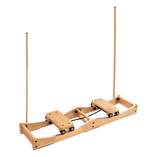 Ski Machine W/ Handrails