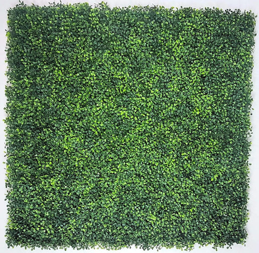 Mixed Boxwood Hedge Panels / Screens UV Resistant 1m x 1m